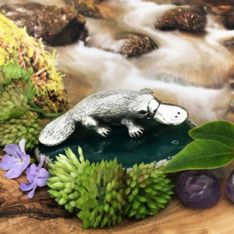 Platypus Australian Souvenir Figurine